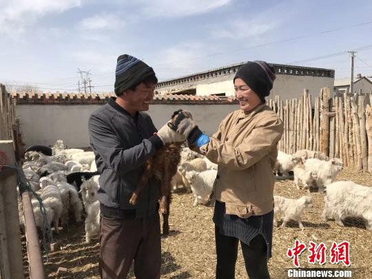 图为王喜和夫妇给羊羔喂奶。 王荣 摄