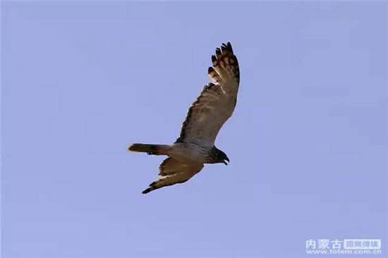 640.webp (11).jpg 古城新郭时时迁交相辉映入眼帘华光溢彩风光冉悠悠美沁景斐然