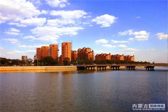 640.webp (13).jpg