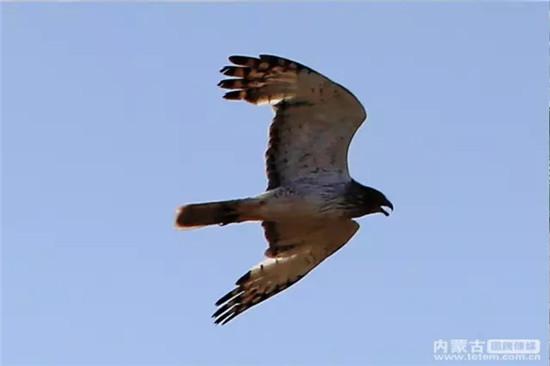 640.webp (10).jpg