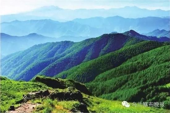 640.webp (4).jpg ●红山林场(丰镇) 摄影:张建新
