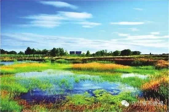 640.webp.jpg ●不冻河湿地(商都) 摄影:张建新