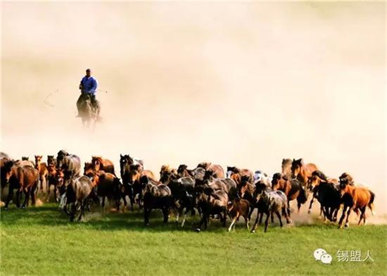640.webp (13).jpg 这里是蒙古博克圣地 摔跤健将摇篮