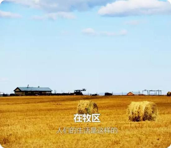 8、在牧区 孩子们是这样的