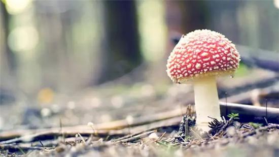 640.webp (10).jpg 人不多不少,景不张不扬