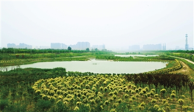 东河公园