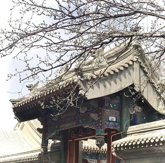 图片来源:慢游文旅