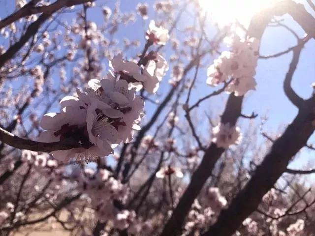 摄影/赵悦