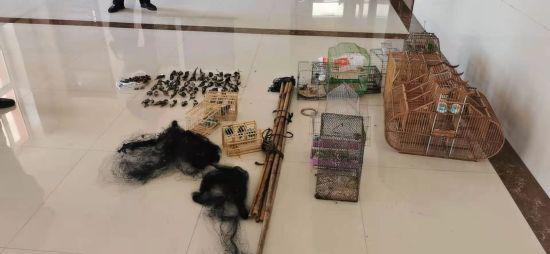 鄂伦春自治旗破获一起非法狩猎案 查获百余只野生鸟类