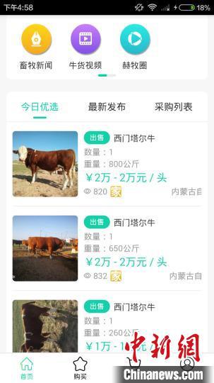 图为锡林郭勒阿巴嘎旗一企业开发的畜牧业信息平台。 奥蓝 摄