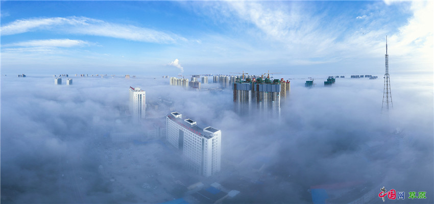 晨雾