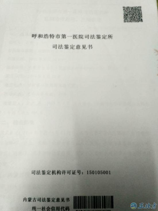 鉴定意见书