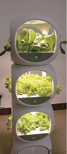 和祺农业新型水培种植技术