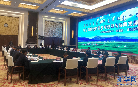 会议现场。新华网 郝芳芳摄