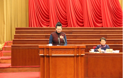 娜仁花委员在发言