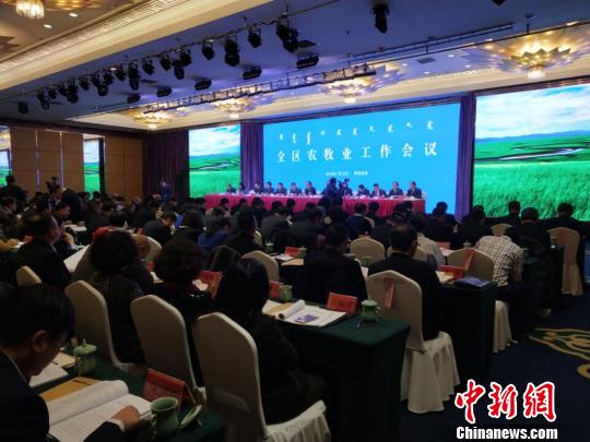 图为会议现场。 乌娅娜 摄