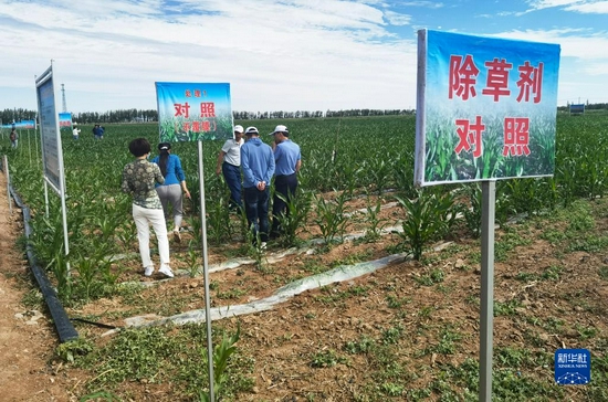 图为内蒙古巴彦淖尔市农业面源污染综合防治示范区。新华社记者李云平 摄