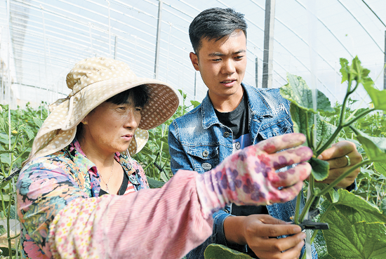 技术员指导范红娣种植技术 摄影/内蒙古日报社融媒体记者 孟和朝鲁