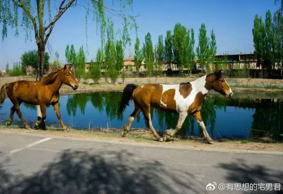 图片来源见水印