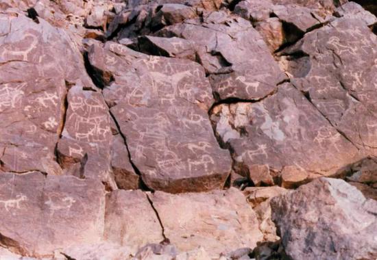 乌拉特中旗的探秘之旅