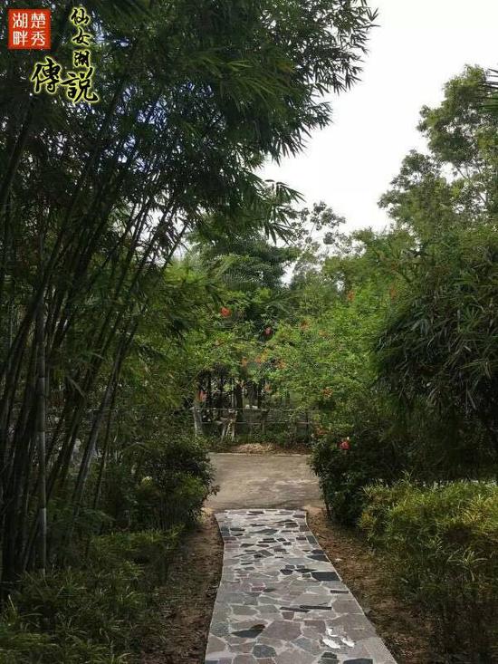 海南·候鳥式旅居