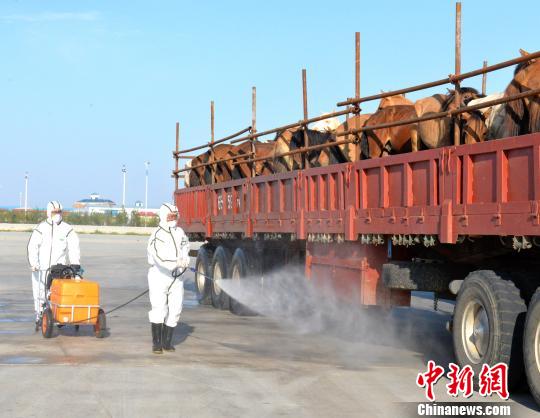 图为检验检疫人员对车体进行防疫消毒。(郑晓钰摄)