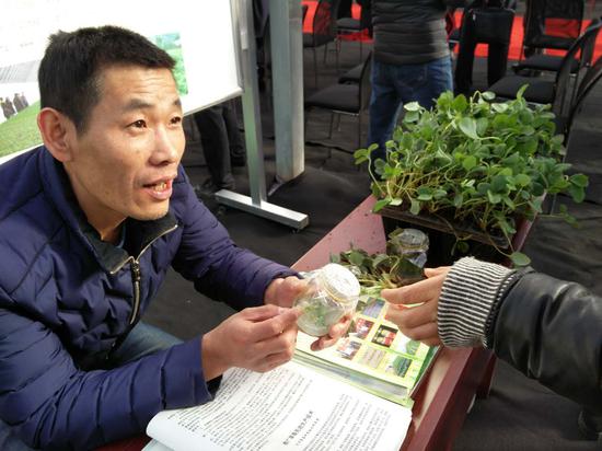 种植经验交流