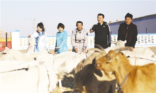 羊奶有了销路,羊圈里充满欢声笑语