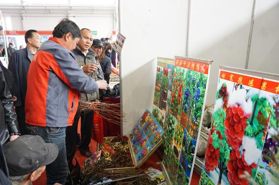 苗木展销
