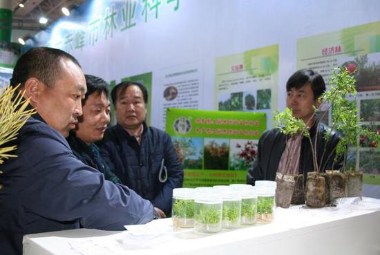 农牧民对经济林育苗技术十分感兴趣