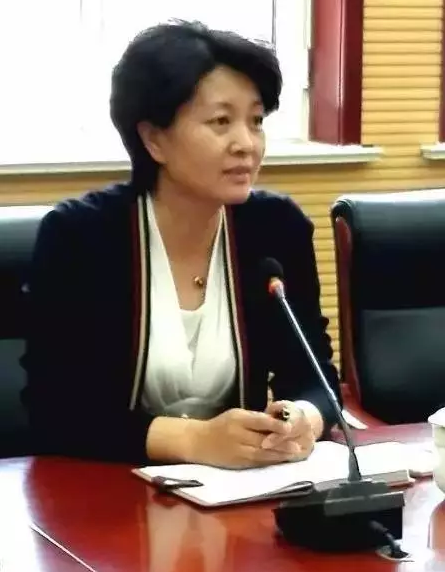 石拐区区委常委宣传部部长李秀芳发言