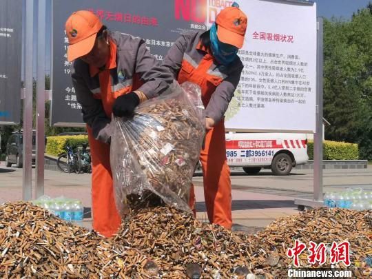 图为环卫工人将捡拾来的烟头堆在一起。