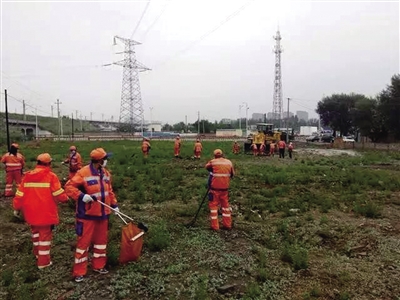 回民区环卫工人清理垃圾