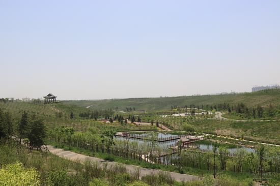 沙坑公园景观