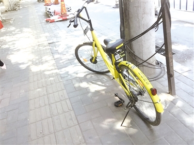 摄影 郝儒冰