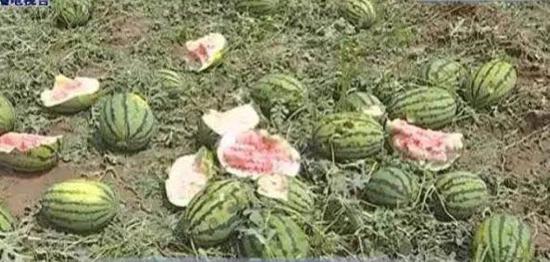 达旗昭君镇受灾情况