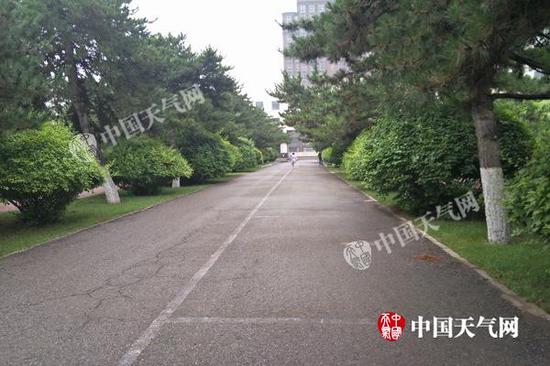 今晨,首府呼和浩特市降雨过后天气凉爽。(图:王媛媛)
