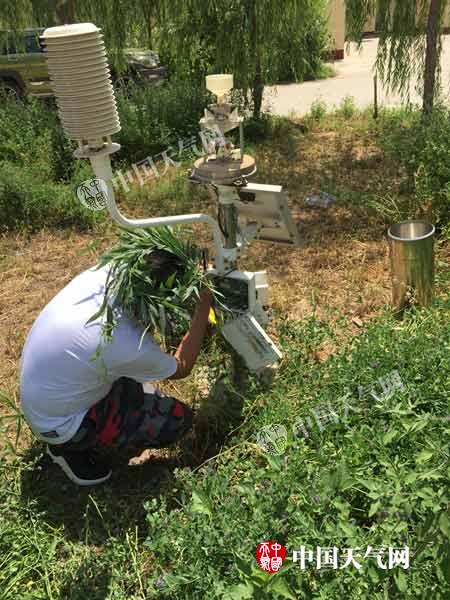 7月16日,巴彦淖尔市乌拉特中旗境内一气象站由于连日高温曝晒出现故障,工作人员在酷暑天气中前去维修。(刘波 摄)