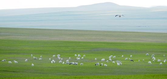 壮丽内蒙古之科尔沁草原