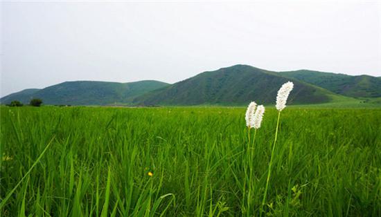 壮丽内蒙古之科尔沁草原
