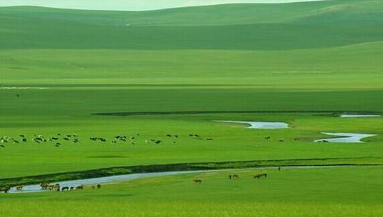 壮丽内蒙古之科尔沁草原