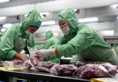 苏尼特右旗朱日和镇乌兰哈达嘎查的乌仁高娃在内蒙古牧都羊绒制品有限公司的纺线车间工作。记者 任军川/摄
