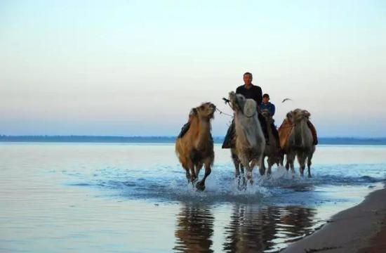 红碱淖在最好的年华遇到你
