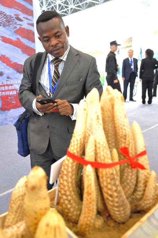 各国代表为中国防治荒漠化成就点赞