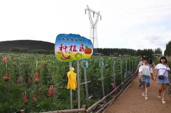 以开心农场为引领,发展体验农业
