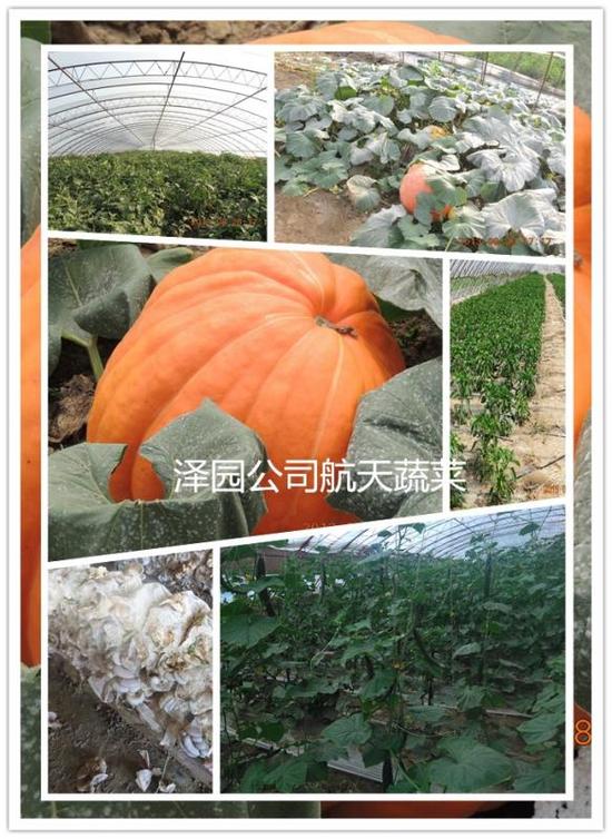 微信图片_20170912101129