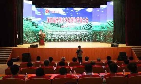 第四届世界小米起源与发展大会会场。张锦川摄