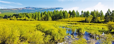 阿尔山国家森林公园。