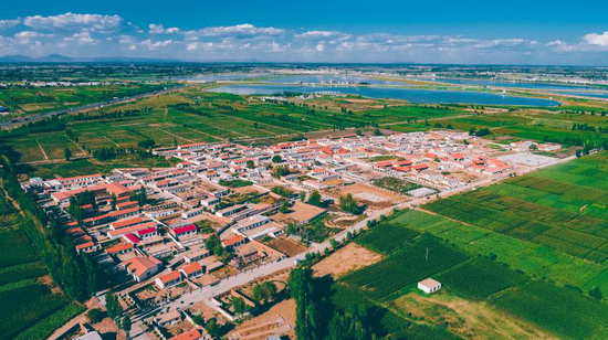 党建统领 稳中求进 创新作为 全力推进高质量发