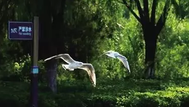 图片来源于呼和浩特文明
